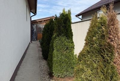 Casă cu 3 camere cu Teren 400 Mp în Domnești