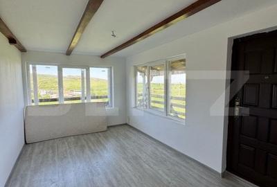 Cabana CHEILE TURZII, teren 8700 mp, priveliste superba - 6