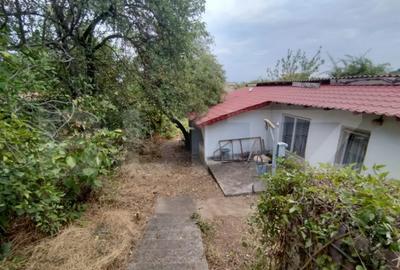 Casă cu 3 camere cu Teren 1167 Mp în Leamna de Jos - 4