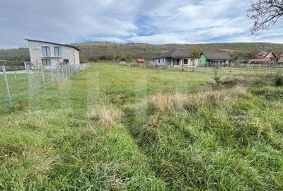 Spațiu comercial, în Petriș