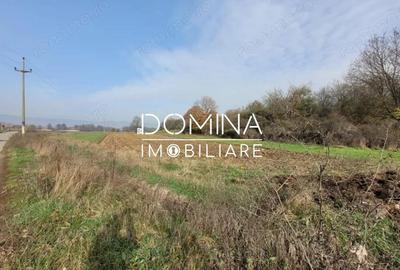 Vanzare teren intravilan - 1654 mp - strada Amurgului - Ursa?i - 6