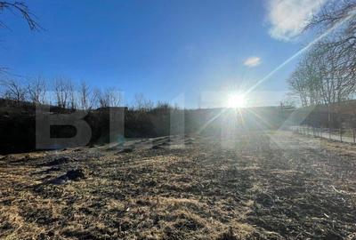 Casa 3 camere, teren 4.313mp, Patrangeni - Alba - 5