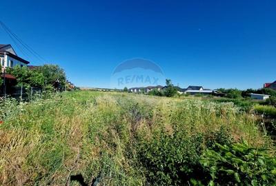 Teren Construcții intravilan de 3538 mp, în 1 Mai - 13