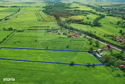 Teren de 6956 mp, în Sâncraiu - 3