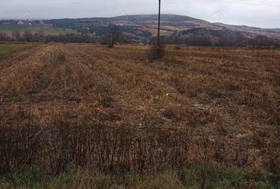 Teren de 6500 mp, în Băcia - 2