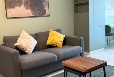 Apartament cu 2 camere în Runcu - 3