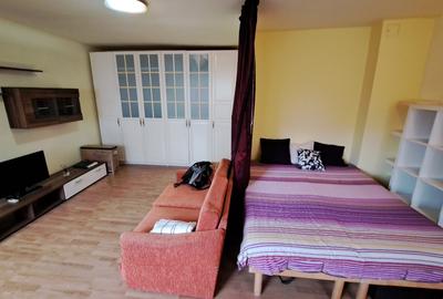 Garsonieră semidecomandată, mobilată în Nerva Traian - 10