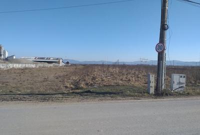 Teren Construcții intravilan de 2467 mp, în Uzina 2 - 2