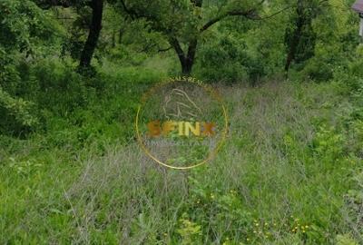 Teren intravilan de vanzare in Breaza Strada Primaverii - 3