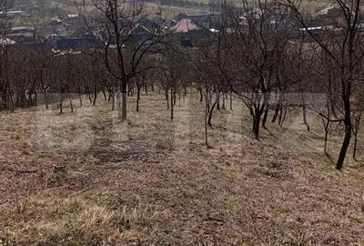 Casă cu Teren 3000 Mp în Central - 5