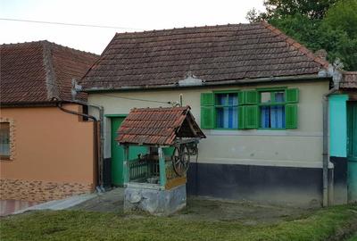 Casă cu 2 camere în Fârliug - 7