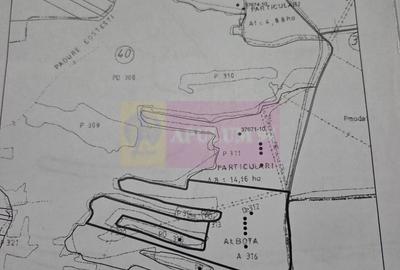 Spațiu comercial, în Bradu - 7