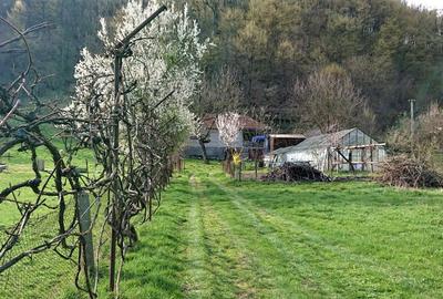 Proprietate Brad, Hunedoara - 3
