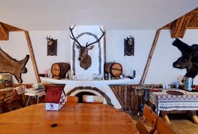 Pensiune deosebita, locuri de cazare, restaurant, pizzerie si spatii comerciale - 2