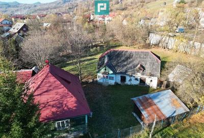 Casa de lemn, cu teren in Bor?a - 11