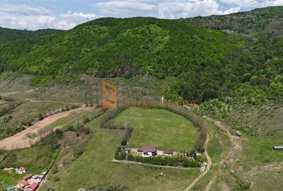 Teren intravilan zona Gura Bascei, com. Cislau - 2