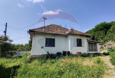Casa cu teren de vanzare Buzesti