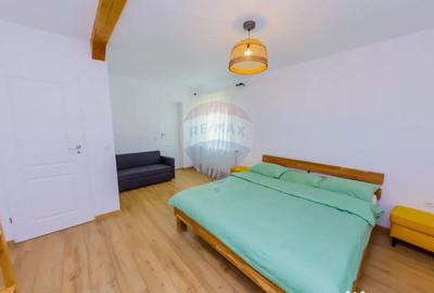 Casă cu 7 camere cu Teren 6370 Mp în Groși - 12