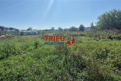 Teren intravilan construibil 472 mp zona Cetate Teren intravilan construibil 472 mp zona Cetate - 3