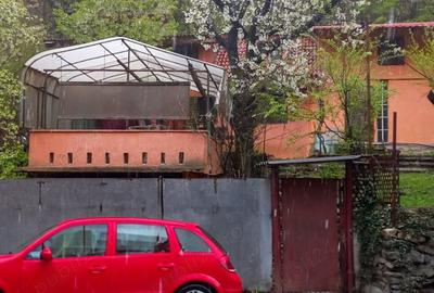 Casă cu 3 camere în Bumbești-Jiu - 4
