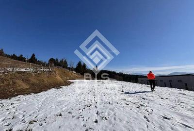 Teren Construcții intravilan de 2623 mp, în Colibița - 3