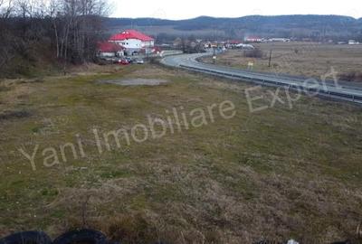 Teren de 10141 mp, în Dedulești - 7