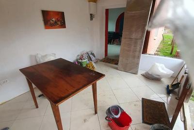 Casă cu 3 camere cu Teren 2175 Mp în Mailat - 9