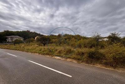 Teren Intravilan de vanzare, 2900 mp, zona Centura - 4