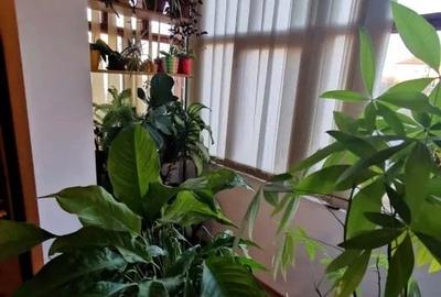 Apartament cu 3 camere semidecomandat în Dâmbovița - 5