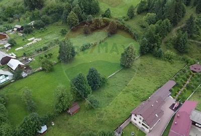 Teren agricol extravilan de 33291 mp, în Poiana Micului - 2