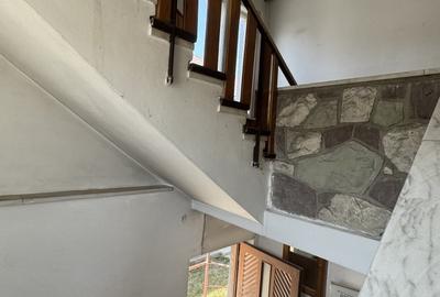 Casa  5 Camere 160 mp, zona  Aurel Vlaicu - 13