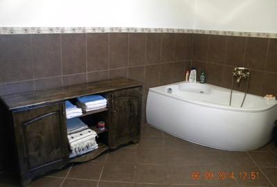 Casă individuală cu 4 camere cu Teren 2800 Mp în Mărunțișu - 3