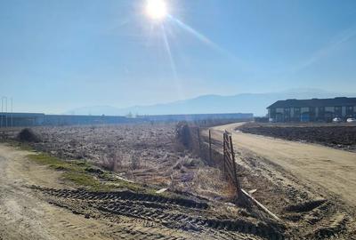 Teren Construcții extravilan de 16350 mp, în Ghimbav - 4