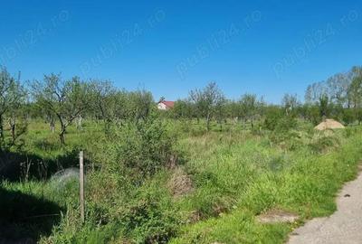 Vand loturi teren intravilan Bascov, Arges - 1