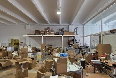 Spațiu industrial, de 240 mp, în Theodor Pallady - 3