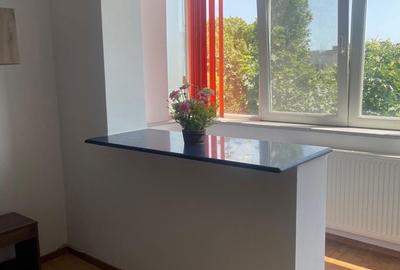 Apartament cu 2 camere semidecomandat în Dacia - 4