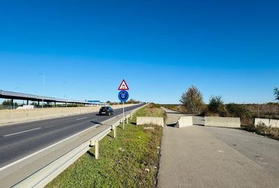 Teren extravilan Chitila/Mogosoia 15895mp - 2