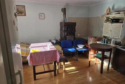 Casă cu 3 camere cu Teren 2500 Mp în Pietroasa - 6