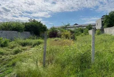 Teren Ghencea- Dantelei- Darvari. - 1