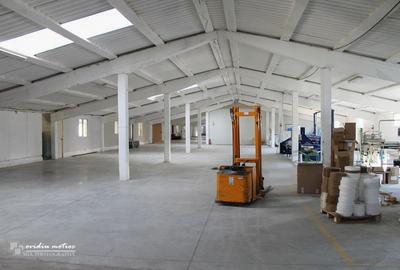 Modul hala langa autostrada - 2