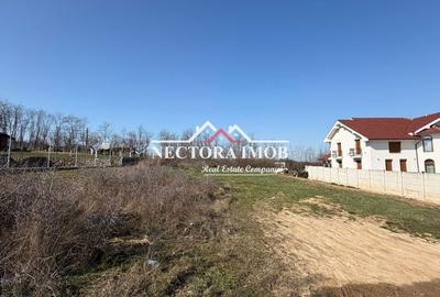 Spațiu comercial, în Paleu - 3