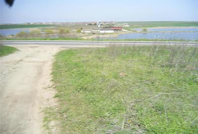 Teren de 12500 mp, în 23 August - 2