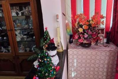 Apartament cu 3 camere decomandat în Banat - 13