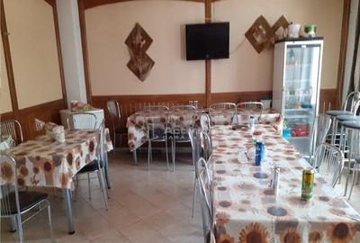 Casă cu 10 camere cu Teren 50 Mp în Dârste - 9