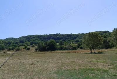 Teren de 2500 mp, în Central - 3
