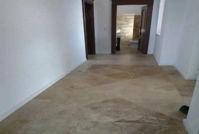 Vila spatioasa de inchiriat - la intrare in Dumbravita dinspre Timisoara - 2