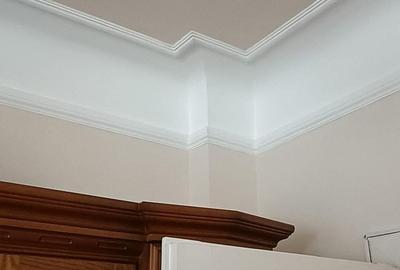Casă cu 2 camere, singur în curte ,garaj, Strada Sucevei, Oradea . - 6