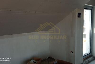 Duplex P+1+M Metalurgiei - 14