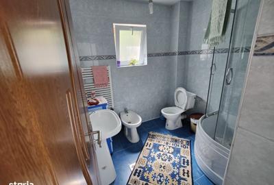 Casă cu 3 camere în Balciu - 3