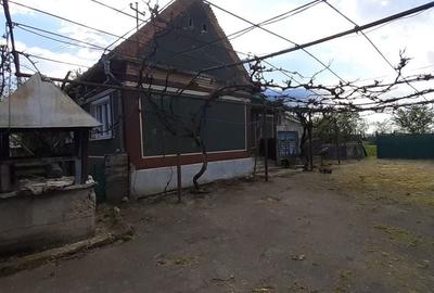 Casă cu 3 camere în Central - 4